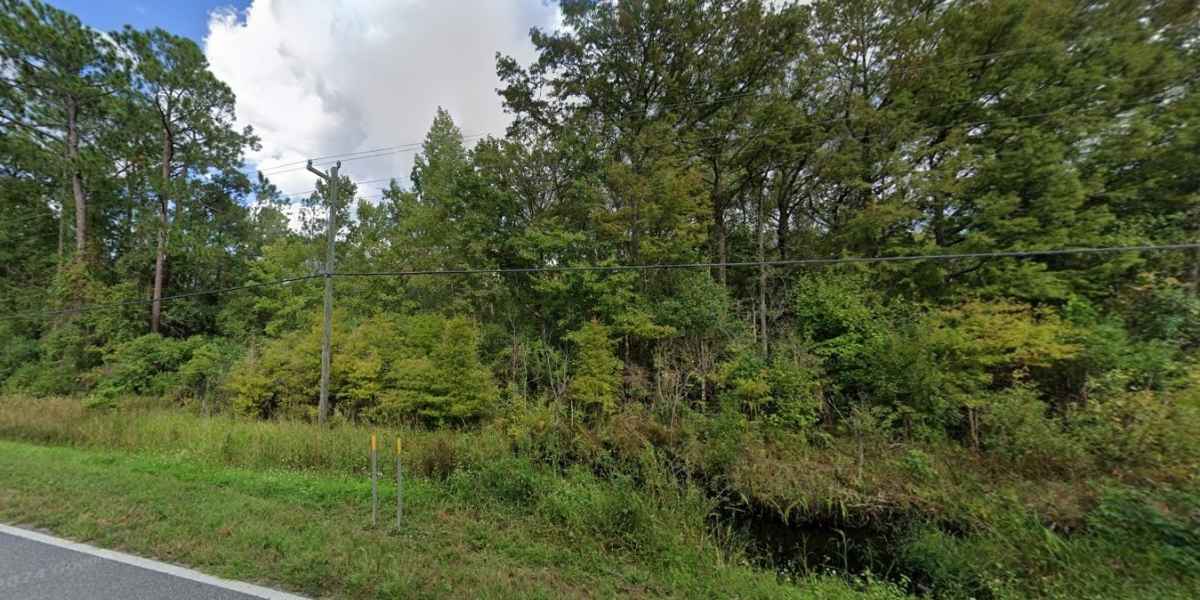 Electric lines near 0.58 acre land for sale in Palatka Florida