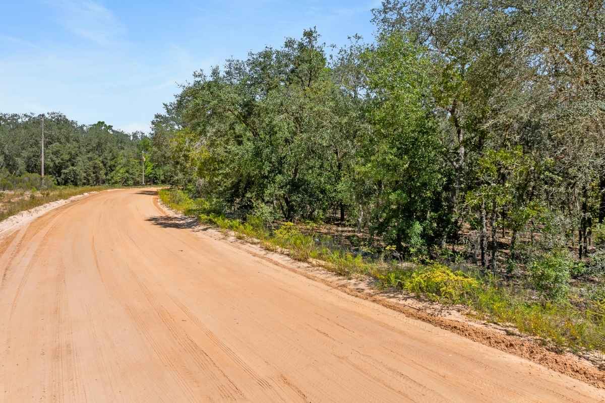 Dirt road access on Lake Lucy Circle in Interlachen FL