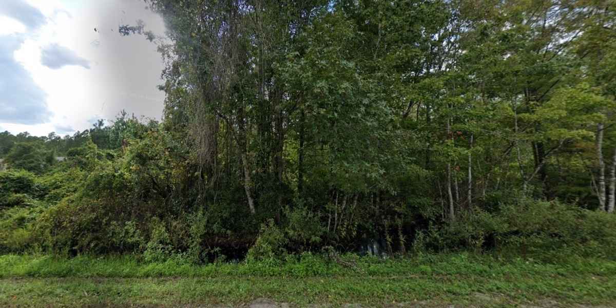Natural landscape of buildable 0.58 acre lot in Palatka FL