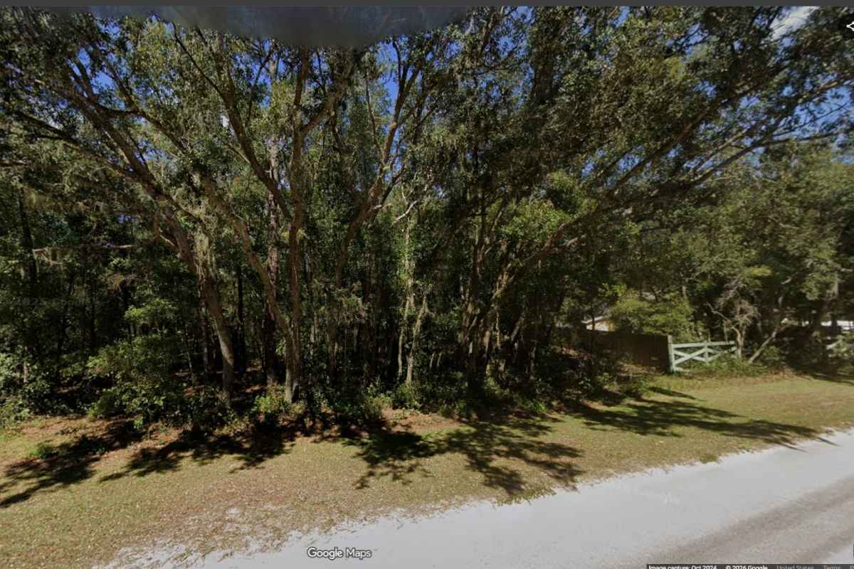 Wooded residential lot on Holiday Drive in Interlachen FL