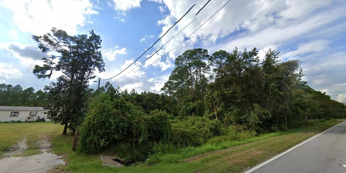Wooded terrain on 0.58 acre residential lot in Palatka Florida